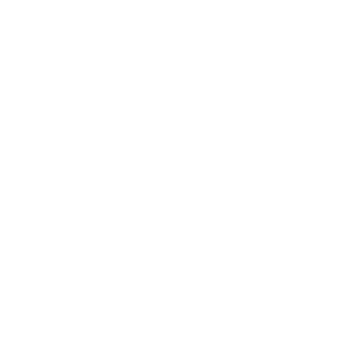 高級組 (中四至中六) 團隊奬